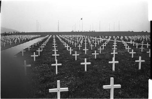 Field of white gravemarkers