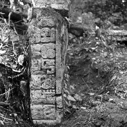 Stela at Tamarindito