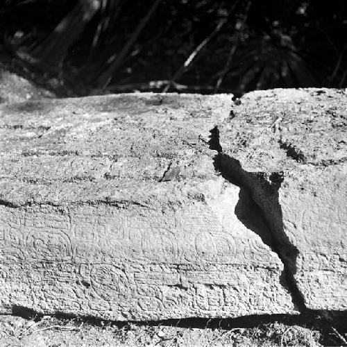 Stela 1 at Naranjo