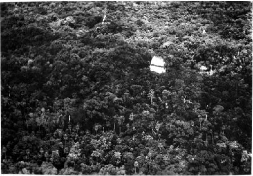 Ruins of Tikal partially showing through the forest growth.