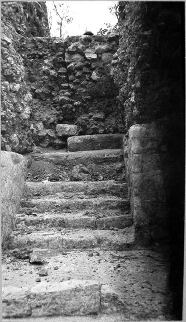 Mound 2 - Trench A, wall in face of trench