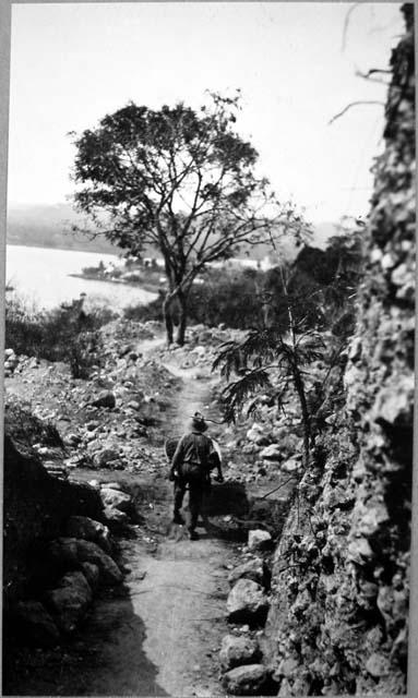 Mound 2 - Trench F, looking S. from head of trench