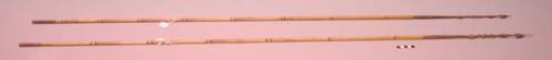 Fighting arrows - bamboo points; palm wood points carved & barbed; +