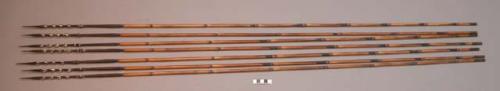 Fighting arrows - bamboo shafts; palm wood points barbed; underside +