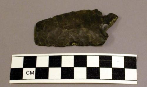 Projectile point