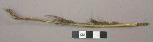 Feather with quill end wrapped with string (sinew)