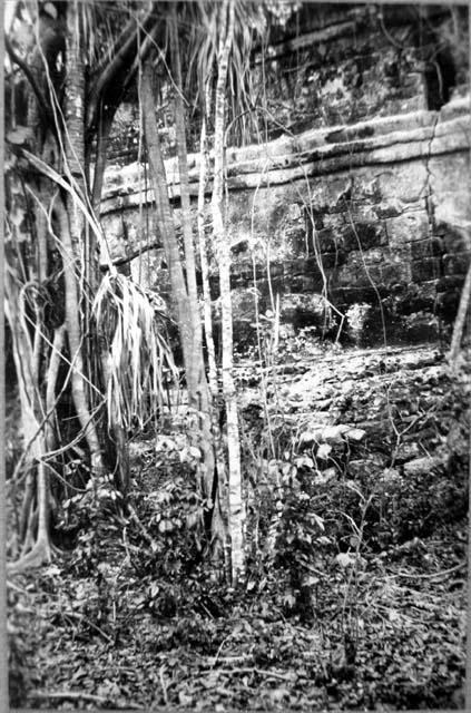 Wall of ruin near San Gerbacio