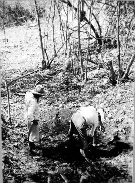 Structure 1-4, ceramic trench 2, looking Southwest