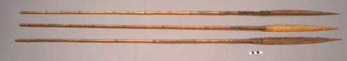 Fighting arrows - bamboo shafts; points are leaf-shaped pieces of +