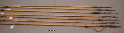 Bamboo arrows with barbed iron heads