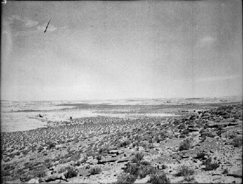 View Towards Bear's Ears From Top of Mesa