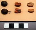 Coffee beans, 6 glued to card, 2 still in brown pods