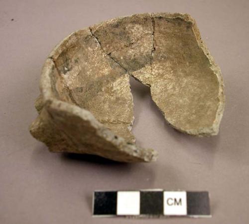 Vessel fragment and sherd (handles broken off)