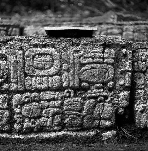 Hieroglyphic step at Tamarindito