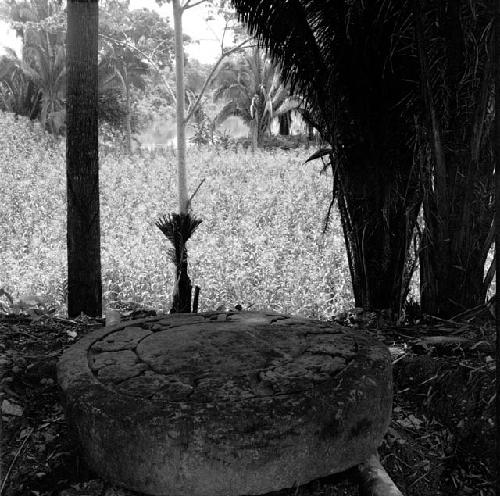 Altar 1 at Altar de Sacrificios