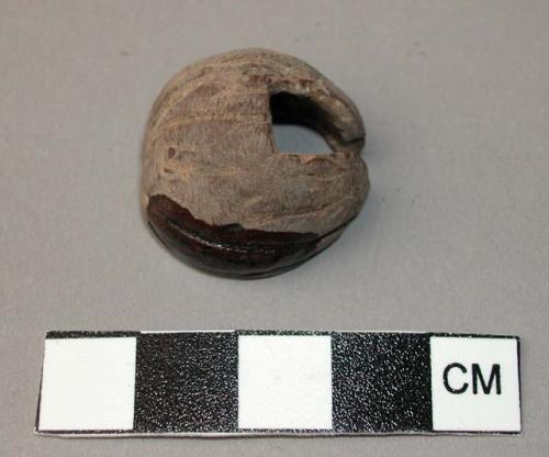 Worked nut shell. half of shell of unknown nut, with notch carved into center.