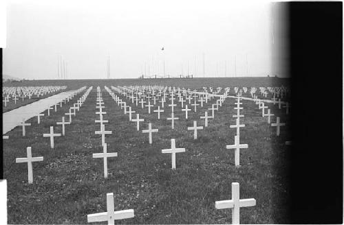 Field of white gravemarkers