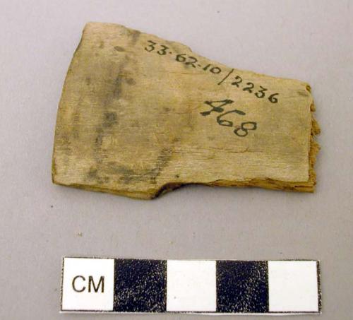 Fragment of worked wooden object