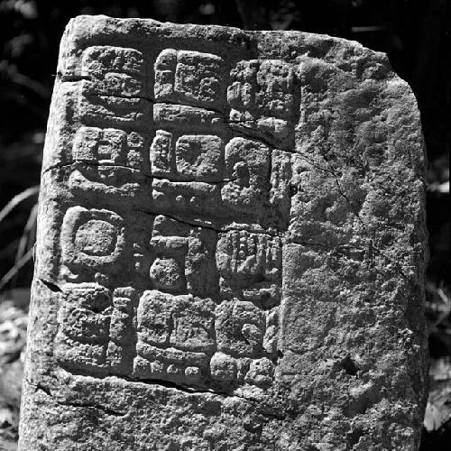 Stone of Hieroglyphic Steps at La Amelia