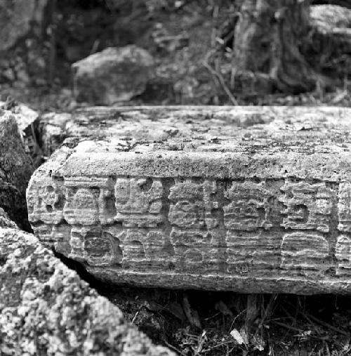 Stela at Tamarindito