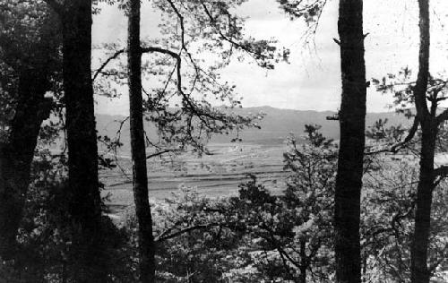 Trees in front of landscape