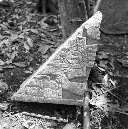 Fragment of Stela 4 at Machaquila