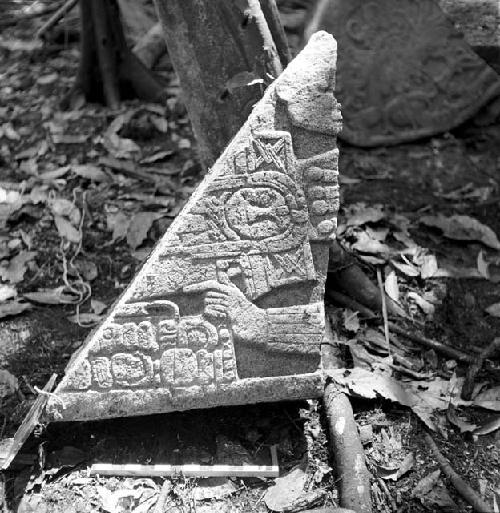 Fragment of Stela 4 at Machaquila