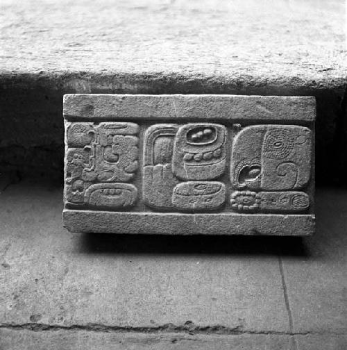 Hieroglyphic stones from Machaquila