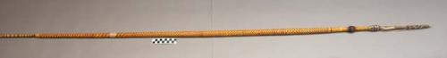 Wooden king spear - long barbs; shaft covered with maroon & yellow +