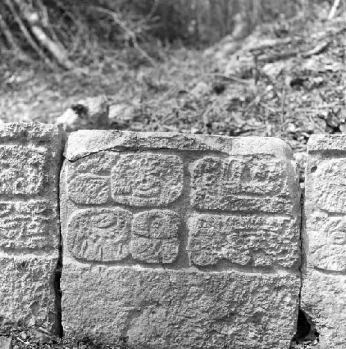 Hieroglyphic stones at Uxmal