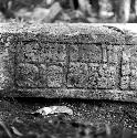 Detail of Stela 2 at Machaquila