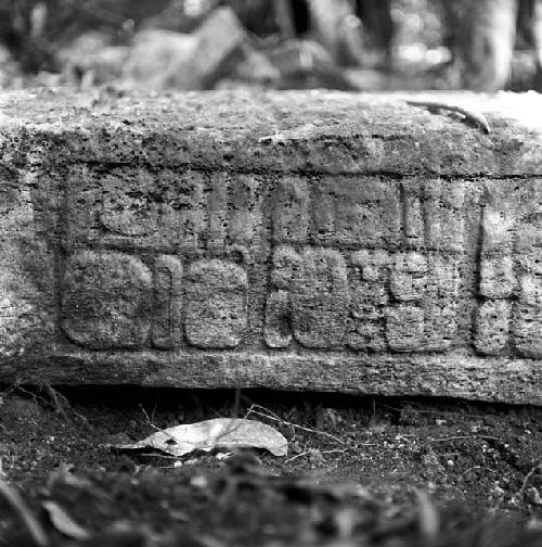 Detail of Stela 2 at Machaquila