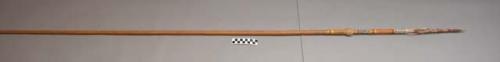 Wooden spear - numerous barbs bound on point; carved, white-filled, +