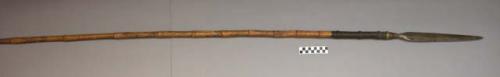 Bamboo spear with wide woven fiber band below metal spearhead (leaf-+