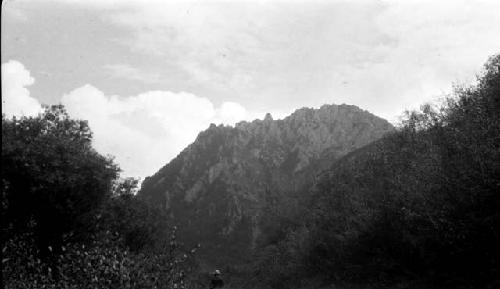 Mountain top framed by trees and clouds