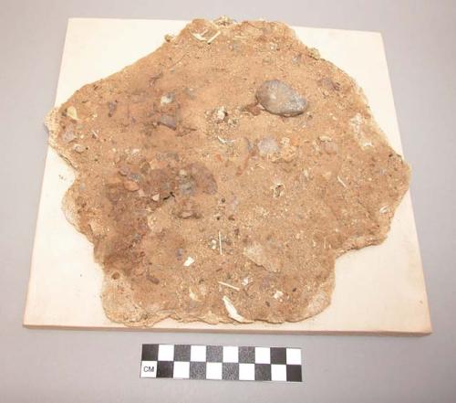 Large fragment of nitrous incrustation, found in floor deposit containing variou