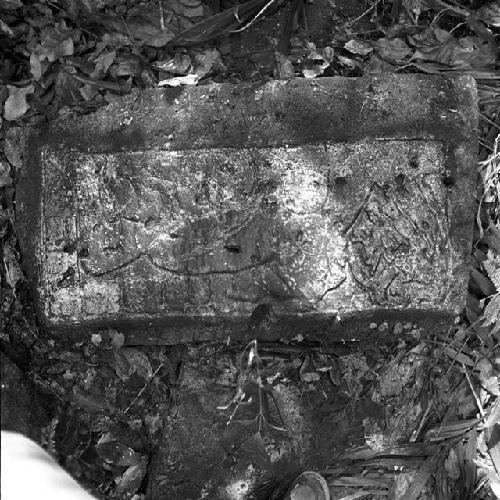 Stone of Hieroglyphic Steps at La Amelia