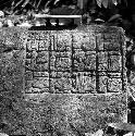 Stone of Hieroglyphic Steps at La Amelia