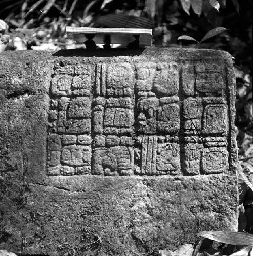 Stone of Hieroglyphic Steps at La Amelia