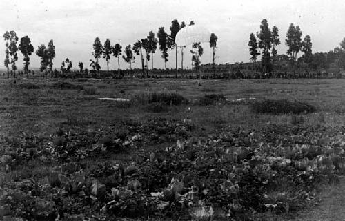 Paratrooper landing