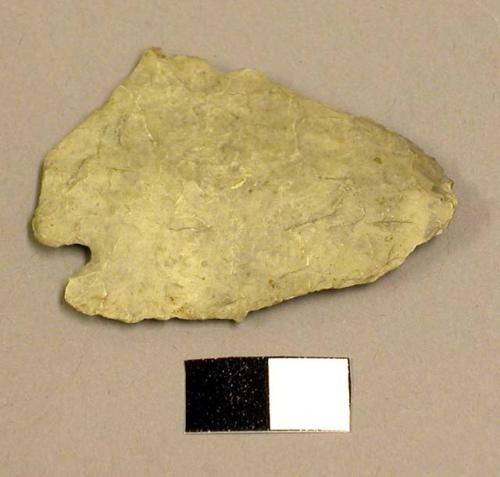 Projectile point