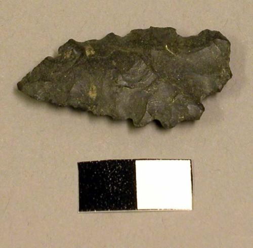 Projectile point