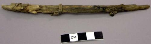 Worked wooden stick wrapped with sinew