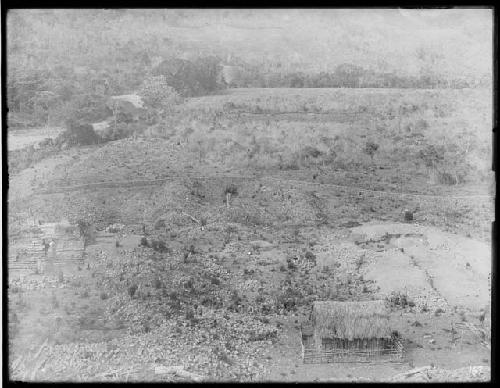 General view from pyramid 16 - looking south