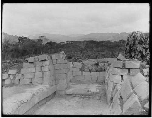 Structure with Landscape in background