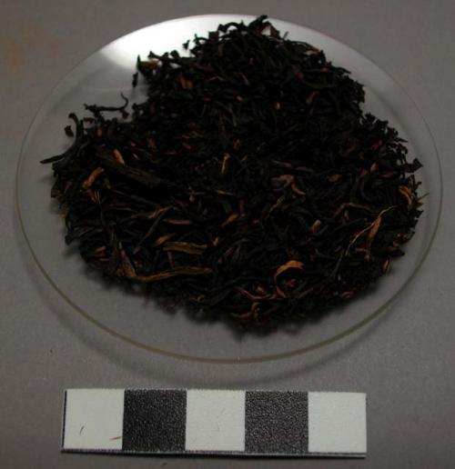 Sample of green tea