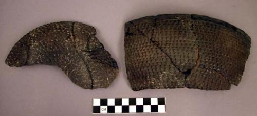 2 large sherds; 1 small sherd