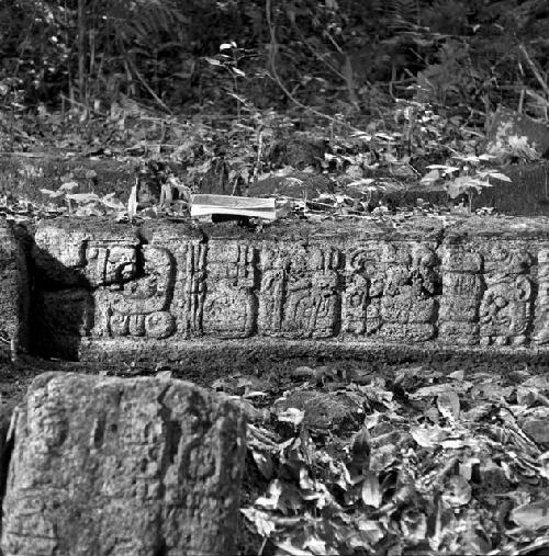 Hieroglyphic step at Tamarindito