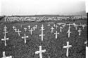 Cemetary with white crosses for gravemarkers