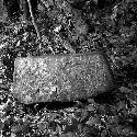 Stone of Hieroglyphic Steps at La Amelia